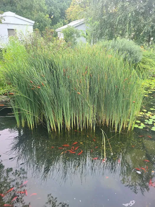 Tranquility Garden Picture 3