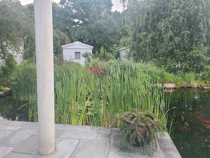 Tranquility Garden Picture 4