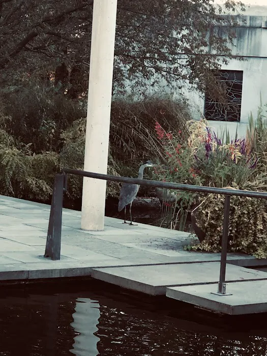 Tranquility Garden Picture 9