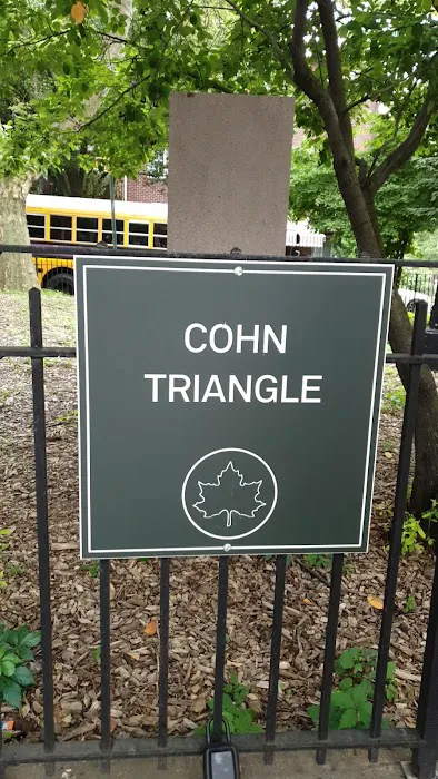 Cohn Triangle Picture 1