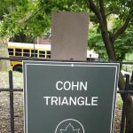 Cohn Triangle