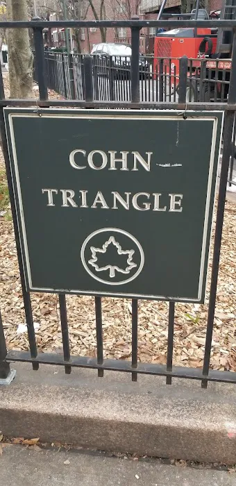 Cohn Triangle Picture 5