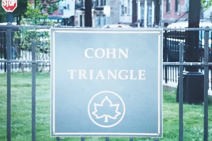 Cohn Triangle Picture 6