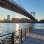 Domino Park Dog Run