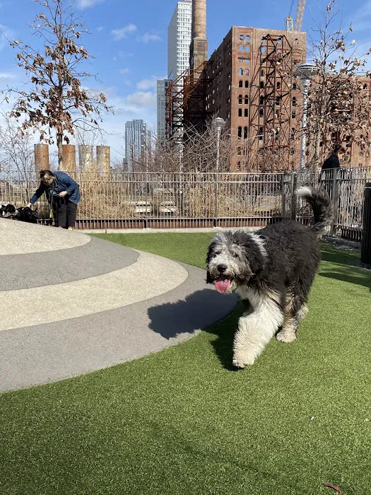 Domino Park Dog Run Picture 2