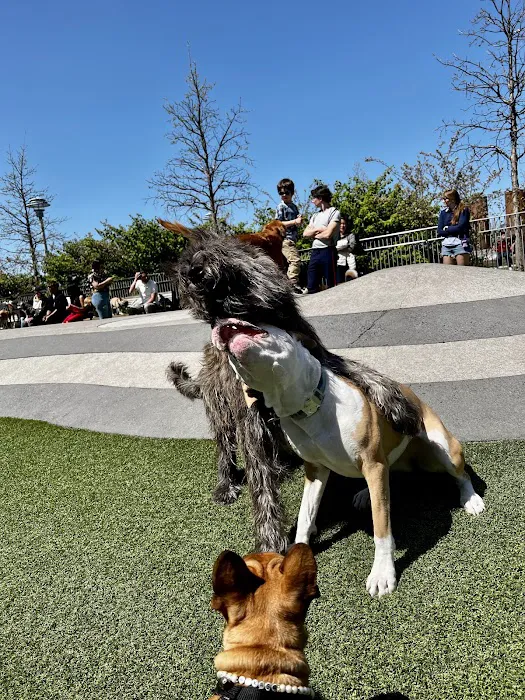 Domino Park Dog Run Picture 7