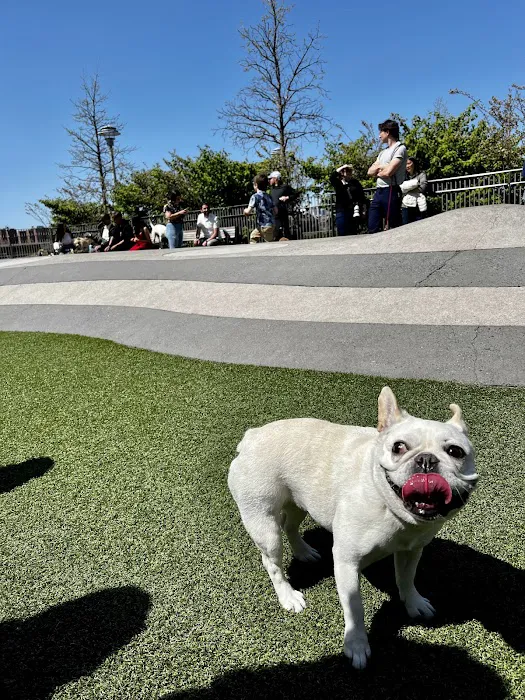Domino Park Dog Run Picture 6