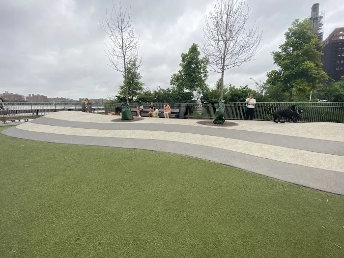 Domino Park Dog Run Picture 3