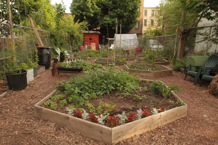 100 Quincy Community Garden Picture 6