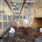 100 Quincy Community Garden