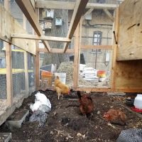 100 Quincy Community Garden ico