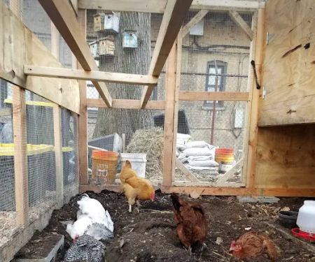 100 Quincy Community Garden