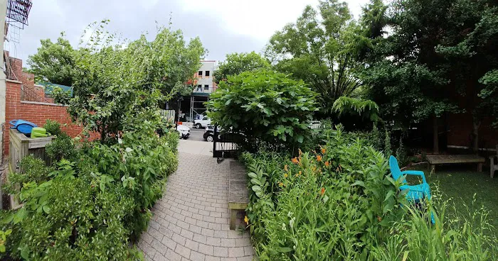 Jane Bailey Memorial Garden Picture 9