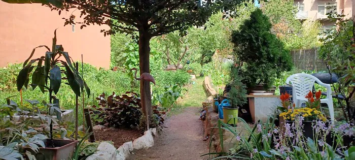 Cedar Tree Garden Picture 7