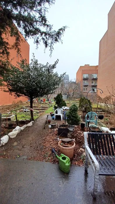 Cedar Tree Garden Picture 4