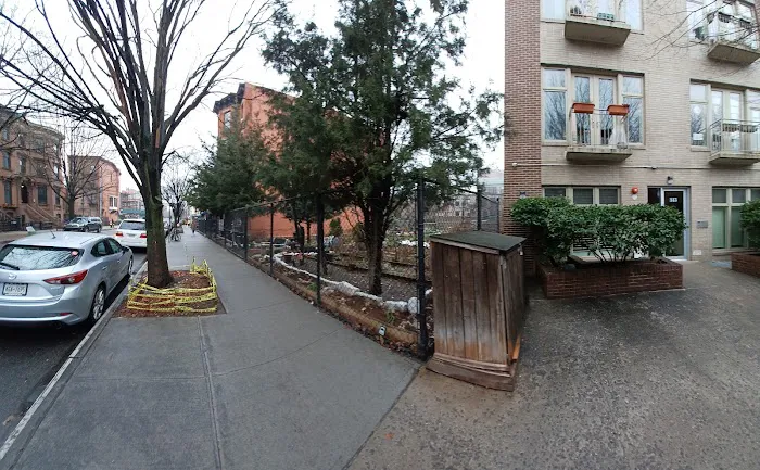 Cedar Tree Garden Picture 5