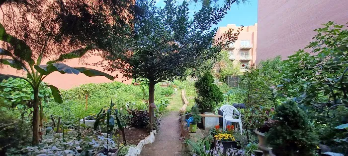 Cedar Tree Garden Picture 10