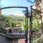 Cedar Tree Garden