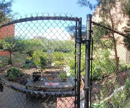 Cedar Tree Garden