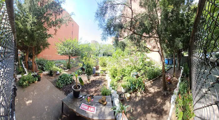 Cedar Tree Garden Picture 3