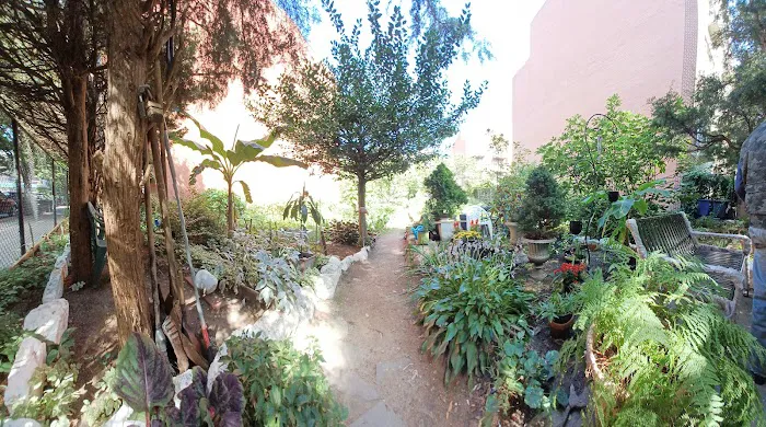 Cedar Tree Garden Picture 2