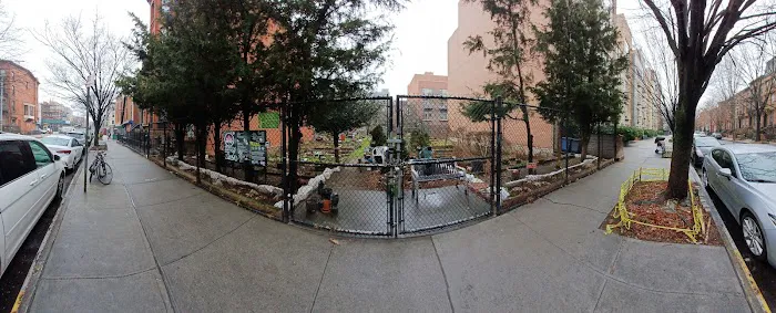 Cedar Tree Garden Picture 8