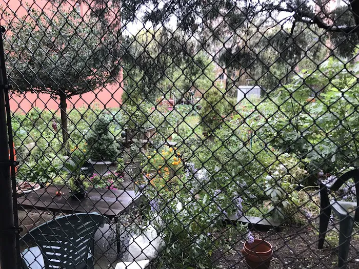 Cedar Tree Garden Picture 3