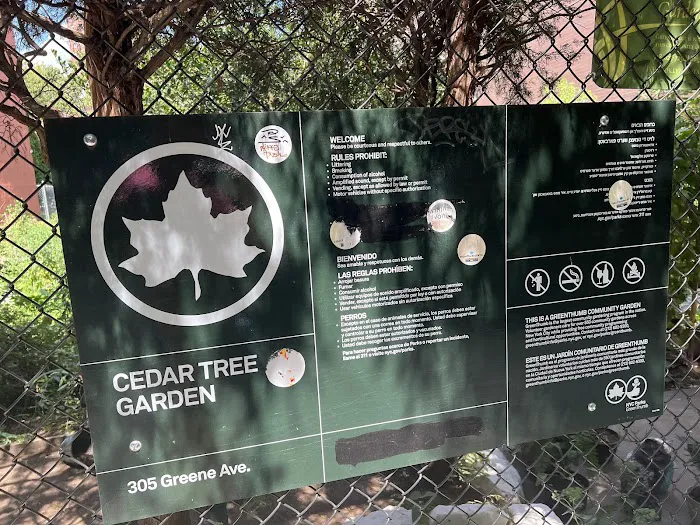 Cedar Tree Garden Picture 5