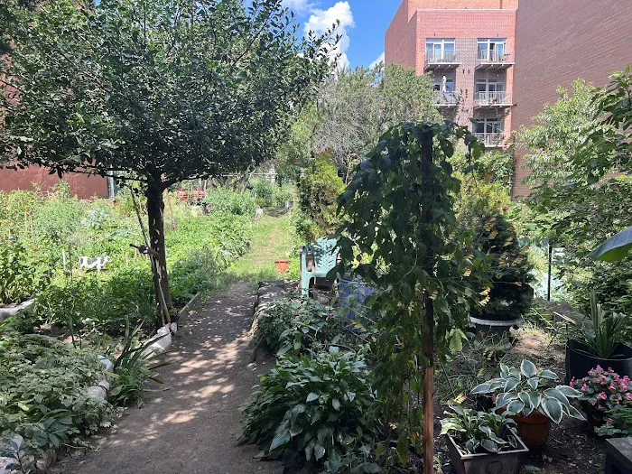 Cedar Tree Garden Picture 7