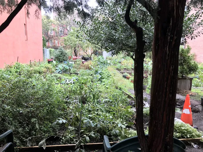 Cedar Tree Garden Picture 4