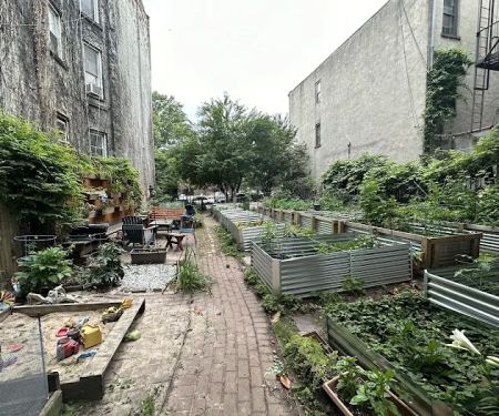 Clifton Place Block Association Garden