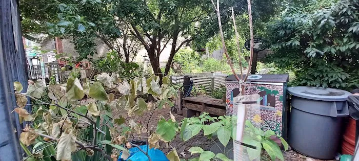 Clifton Place Block Association Garden Picture 4