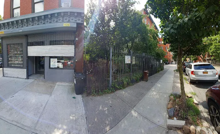 Clifton Place Block Association Garden Picture 8