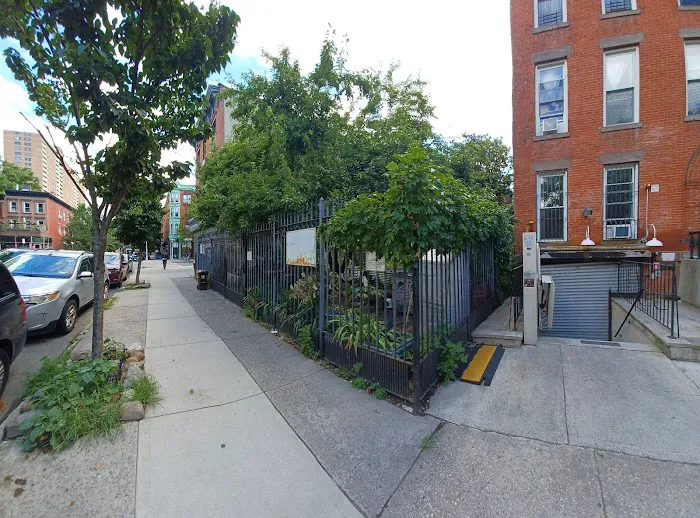 Clifton Place Block Association Garden Picture 10