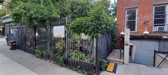 Clifton Place Block Association Garden Picture 7