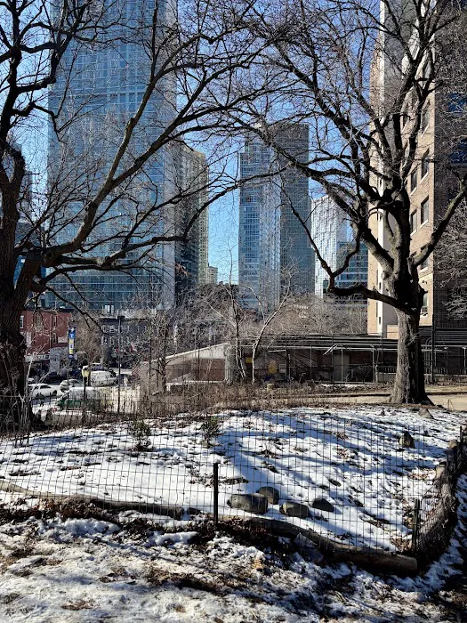 Fort Greene Park Picture 6