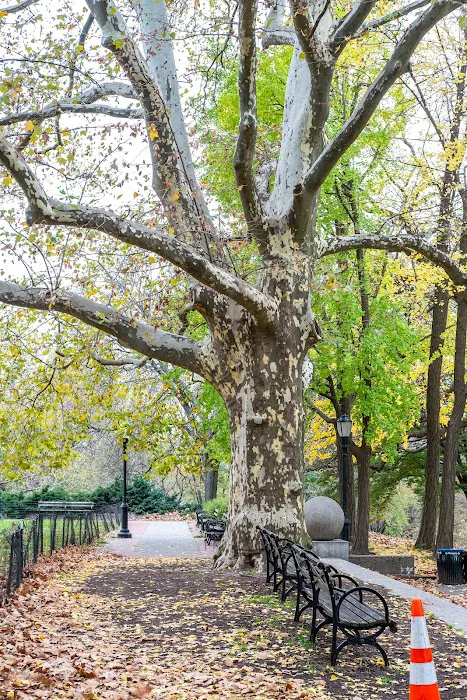 Fort Greene Park Picture 7