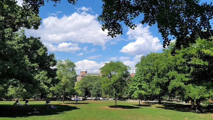 Fort Greene Park Picture 3