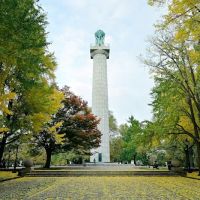Fort Greene Park ico