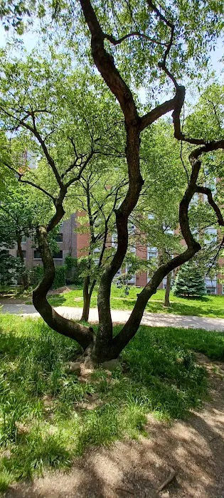Fort Greene park Picture 3