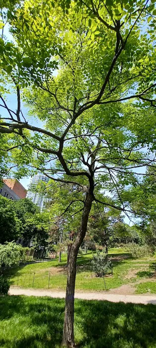 Fort Greene park Picture 2