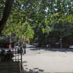 Greene Garden
