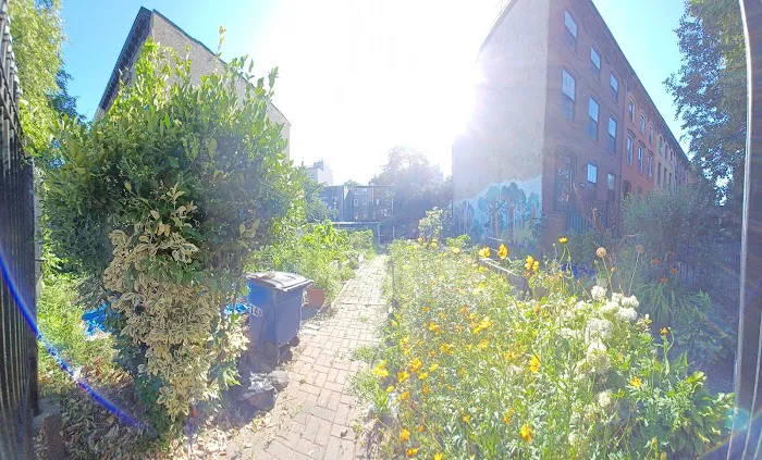 Classon Ful-gate Block Association Garden Picture 7