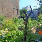 Classon Ful-gate Block Association Garden