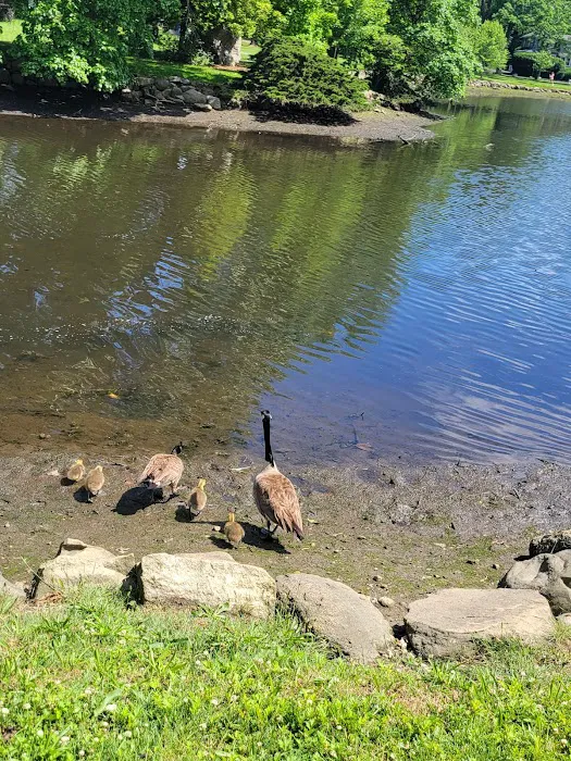 Binney Park Picture 5