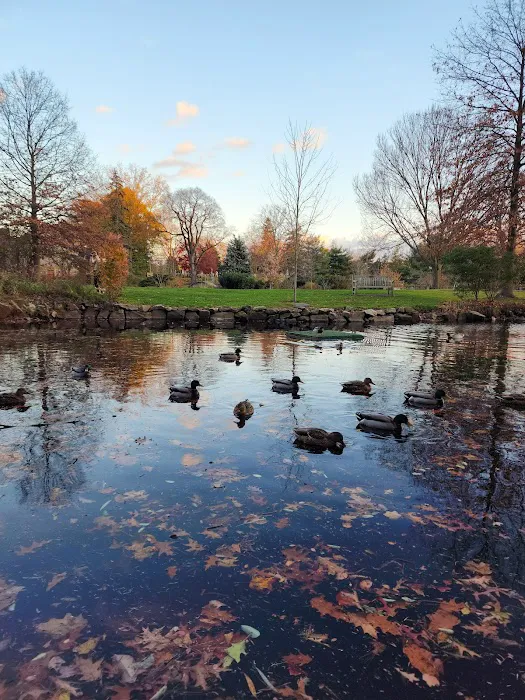 Binney Park Picture 9