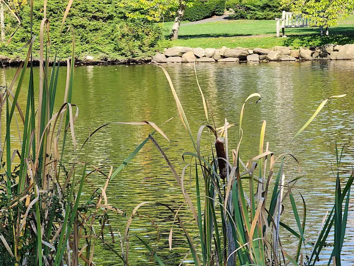 Binney Park Picture 4