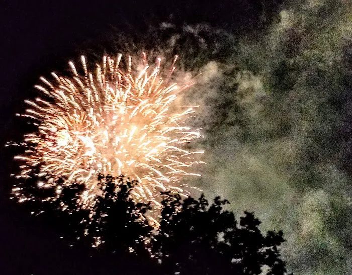 Binney Park Picture 8