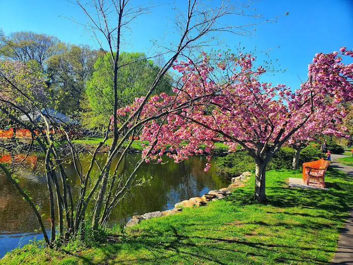 Binney Park Picture 10