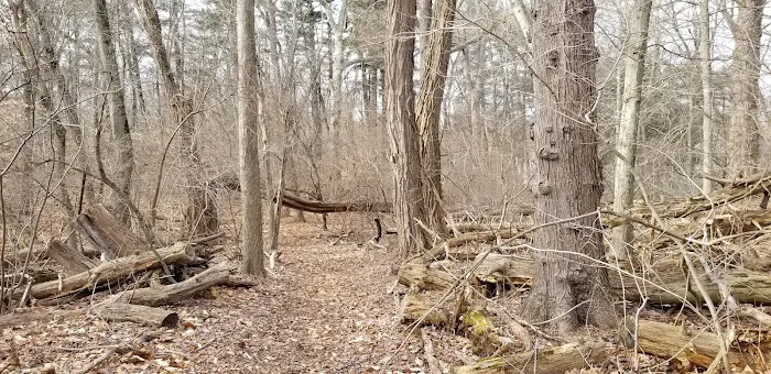 Binney Park Nature Trails Picture 2